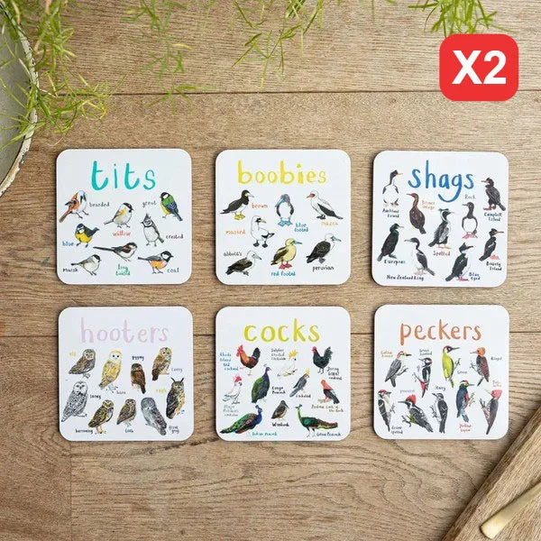 Set of 6 Bird Pun Coasters - Last Day 70% OFF