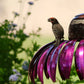 2023 Outdoor Flower Bird Feeder Spring Decoration - LAST DAY 70% OFF