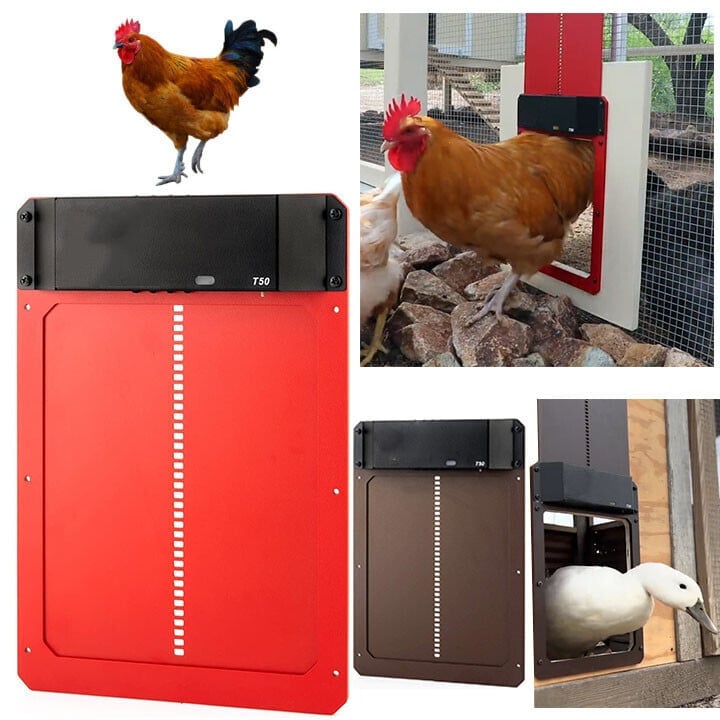 (Hot Sale)-Poultry Farm Automatic Chicken House Door