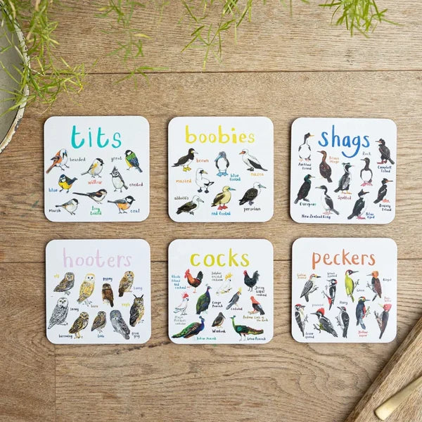 Set of 6 Bird Pun Coasters - Last Day 70% OFF