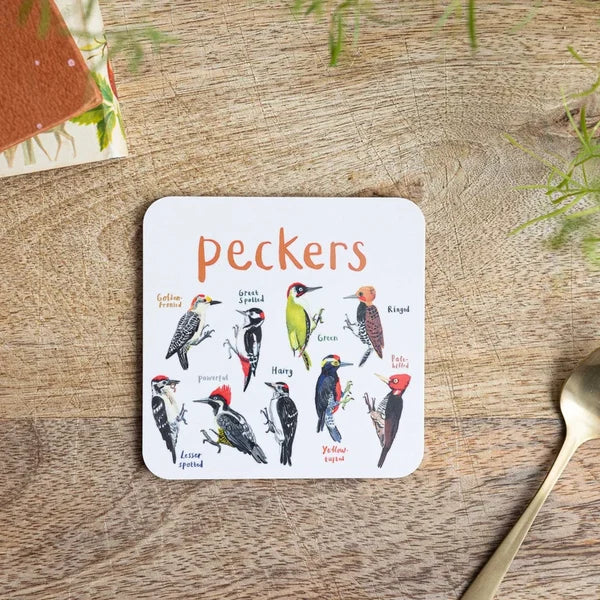 Set of 6 Bird Pun Coasters - Last Day 70% OFF